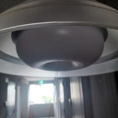 LED