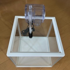 水槽