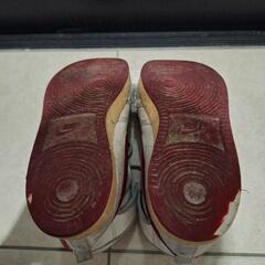 ち中古　AIR JORDAN　25.5センチの画像