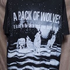 Hanes(ヘインズ) Tシャツ