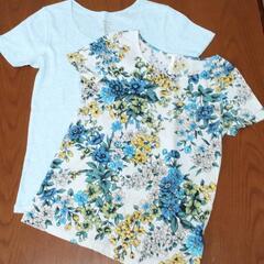 新品✨レディース Tシャツ ２枚