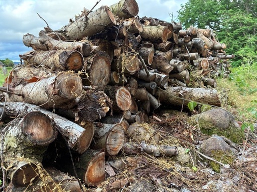 No70 薪用 桃の玉切り 2トン 1万円 引き取り限定