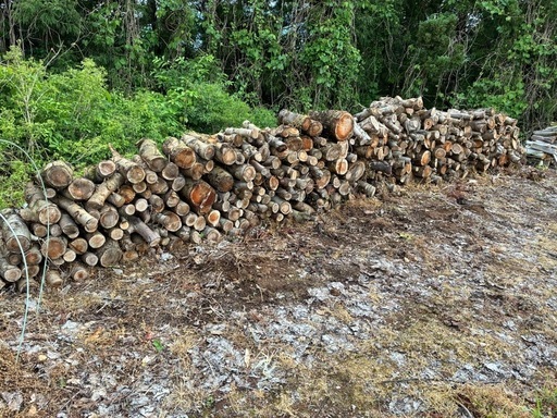 No70 薪用 桃の玉切り 2トン 1万円 引き取り限定