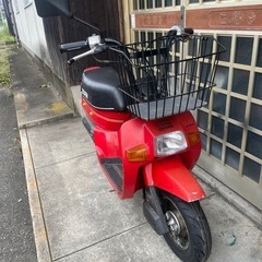 【自賠責保険付き】ホンダ スカッシュDX 12v セル付き