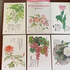 星野富弘  絵はがき5枚セット