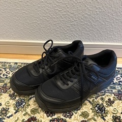 MIZUNOスニーカー 23.5cm ゴアテックス  ミズノ黒い...