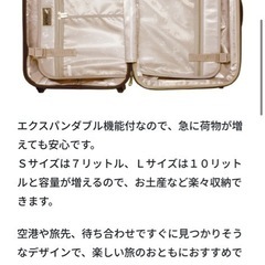 ムーミン　スーツケースの画像
