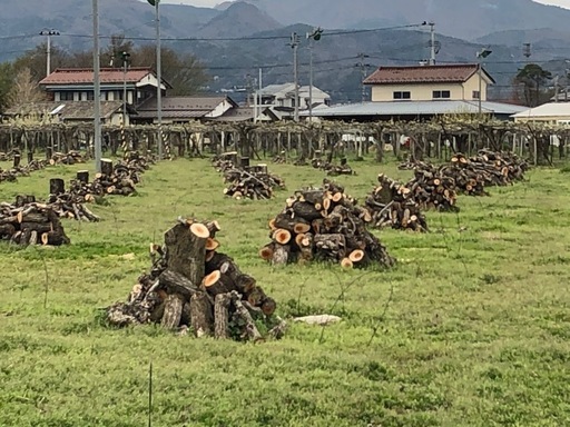 NO71 薪 梨の玉切り 軽トラ1000Kg 5000円 引取り限定(福島市)