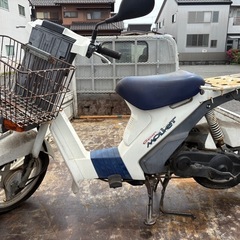 スーパーモレ　不動　部品取りに