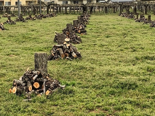 NO71 薪 梨の玉切り 軽トラ1000Kg 5000円 引取り限定(福島市)