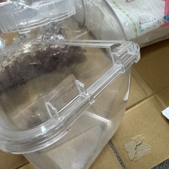 ハムスター用品の画像