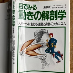 目でみる動きの解剖学 スポーツにおける運動と身体のメカニズムの画像