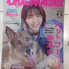 わんにゃんWalker（新品未使用）　他の800円以上の商品とま...