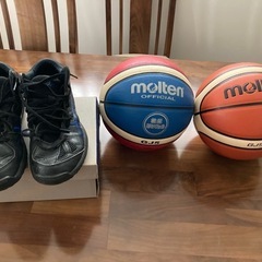 バスケットボール、シューズ24.5cm