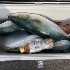 茨城県　大洗町　船釣り仲間募集