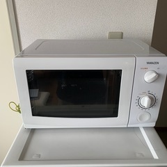 【お引き取り先確定】電車レンジ