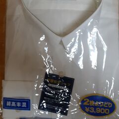 白Yシャツ　　Tー44
