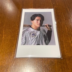 千葉ロッテマリーンズ 西川史礁 シークレットチェキ