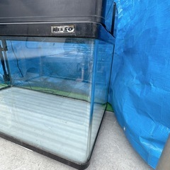 NISSO ラウンド
水槽 90cm　アール加工 淡水魚 海水魚の画像
