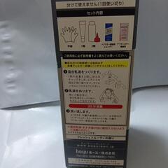 グレーアッシュ　ビューティーン　hoyuの画像