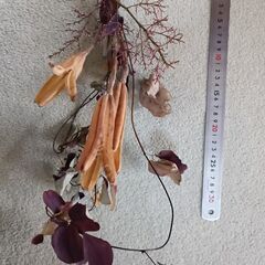 ナチュラルスワッグ　ドライフラワー　の画像