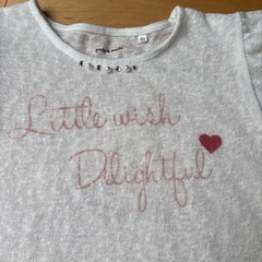 Peda & Mada 150 シースルー　Tシャツの画像