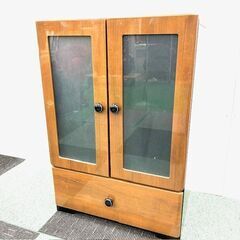 ミナリスWD ガラス キャビネット チェスト WD-5580-G...