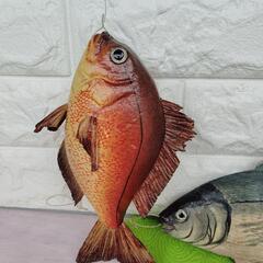 デイスプレイお魚セットの画像