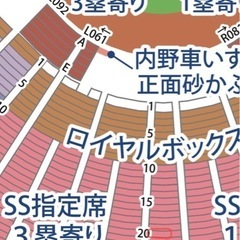 ズムスタ6月6日西武戦　SS席２枚