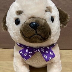 豆しば三兄弟