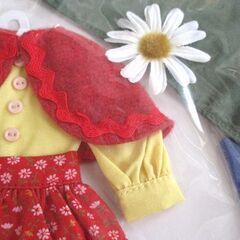 バブーシュカガールセット グリーン 22cmドール用 ブライス 未使用 by.echo*コラボ Dear Darling fashion for dolls ジュニームーン 札幌市の画像