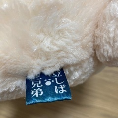 豆しば三兄弟の画像