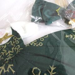 デックザホールズ グリーン 22cmドール用 ブライス 未使用 Dear Darling fashion for dolls ジュニームーン X’mas 札幌市の画像