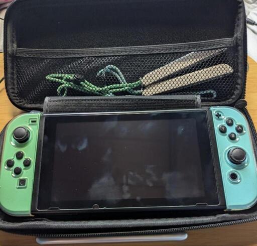 Switch あつまれ　どうぶつの森セット　キャリングケース　充電コントローラー 71sNvPqDTML._UF350,350_QL50_.jpg