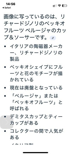 ?リチャードジノリ　カップ&ソーサー