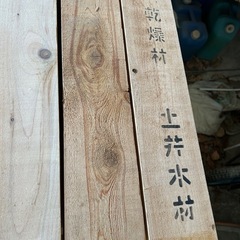 檜柱の画像