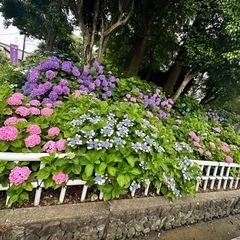 初めまして🍀　仲良くして下さい☺️