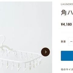 角ハンガー32P   Freddy Leck(フレディレックウォッシュサロン)の画像