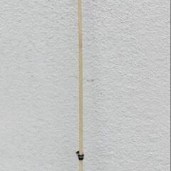 釣竿とリールの画像
