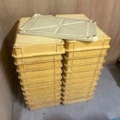 プラスチック　コンテナ　