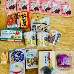 レトルト　アウトドア　非常食　お菓子　大容量　おまけ付き