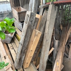 材木　差し上げます。