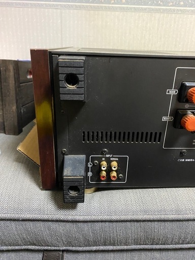 Technics SE-A100