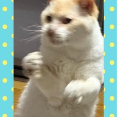 【大至急】幸せにしてあげてください
