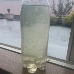 (受け渡し者決定)オオミジンコ水　500ml ⑤