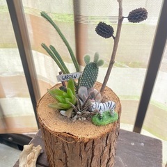 切り株　寄せ植え①