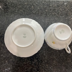🔴チャードジノリ　カップ&ソーサー の画像