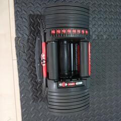 BARWING(バーウィング)NEW モデル 可変式ダンベル2個セットの画像