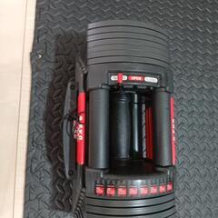BARWING(バーウィング)NEW モデル 可変式ダンベル2個セットの画像