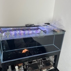 120cm水槽　オールガラス　GEX外部濾過9012 LEDライ...